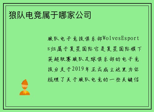狼队电竞属于哪家公司